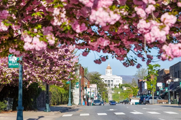 EXPLORING NATURE AND UNIQUE CHARM IN SYLVA AND DILLSBORO, NORTH CAROLINA