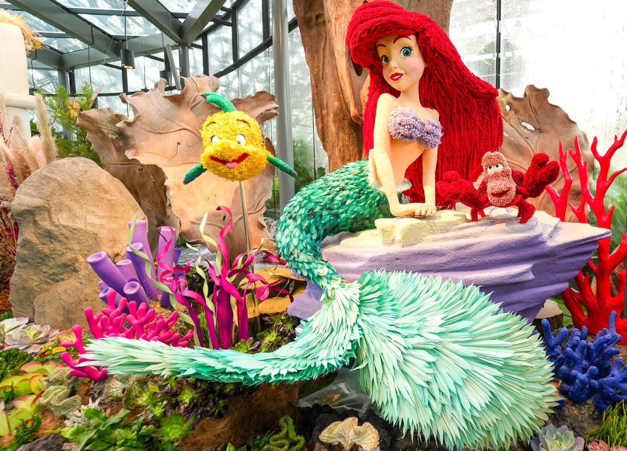 A DAZZLING WONDERLAND! DISNEY GARDEN OF WONDER UNVEILS A STUNNING DISPLAY OF HORTICULTURAL BEAUTY