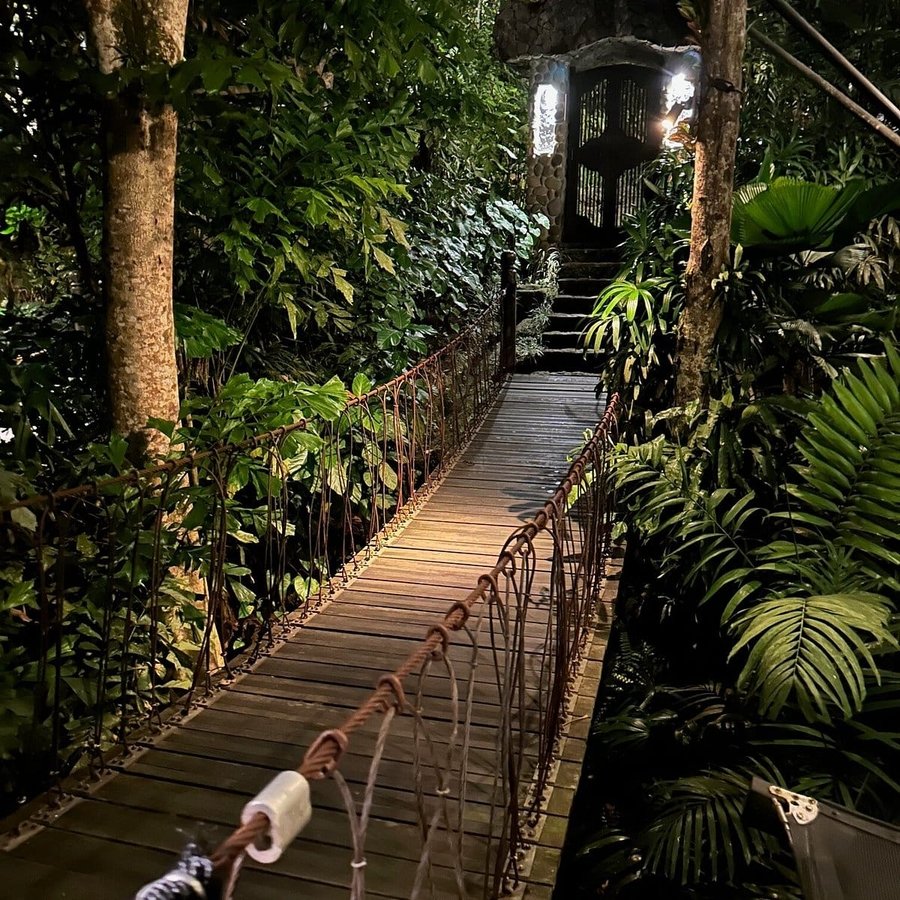 Between tents at Capella Ubud. A suspension bridge through the jungle. The 1800s explorer would have recognized this.