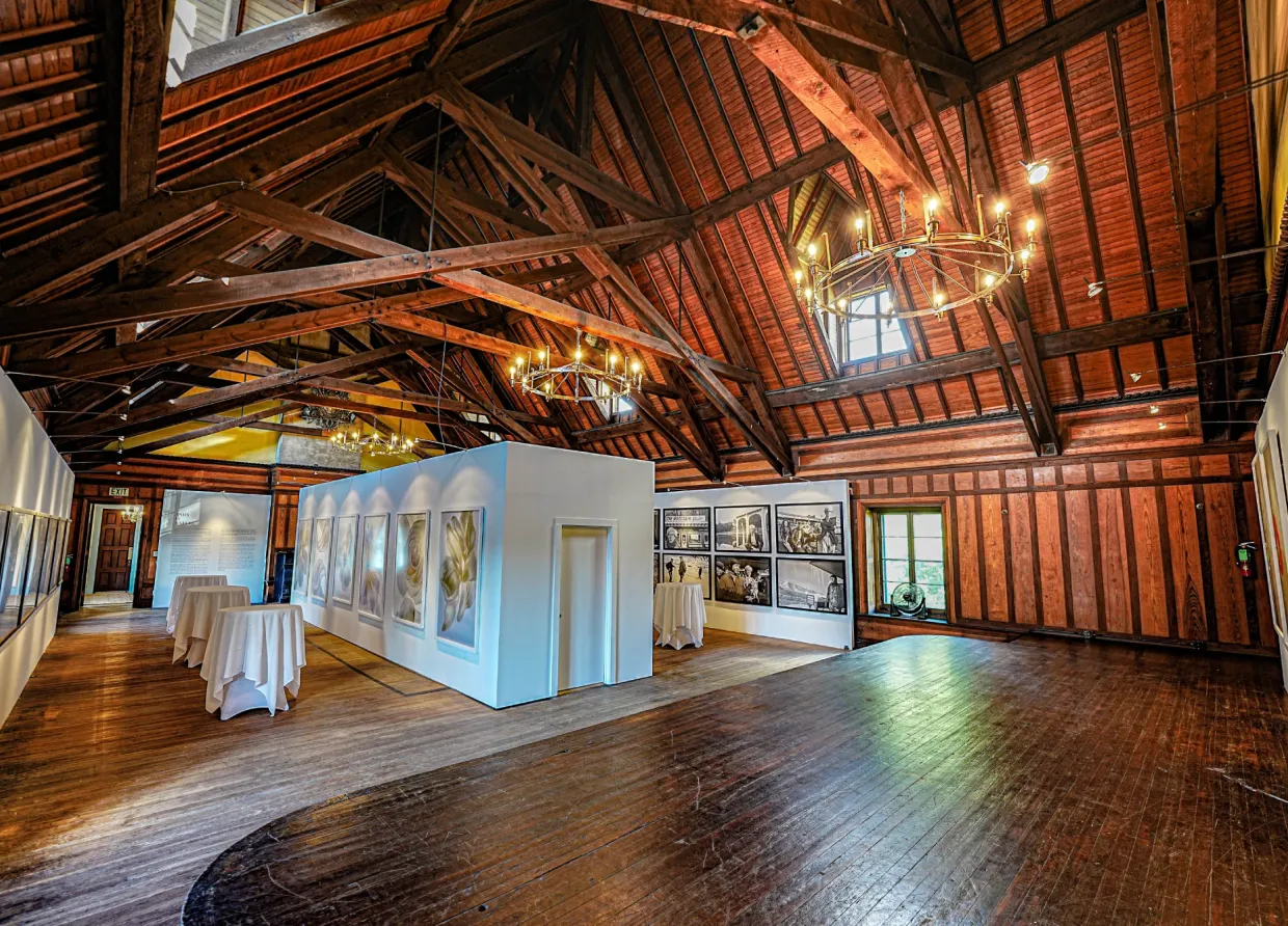 FOREST HALL STUDIOS UNVEILS CAPTIVATING ART EXHIBITION: A CELEBRATION OF NATURE AND CREATIVITY
