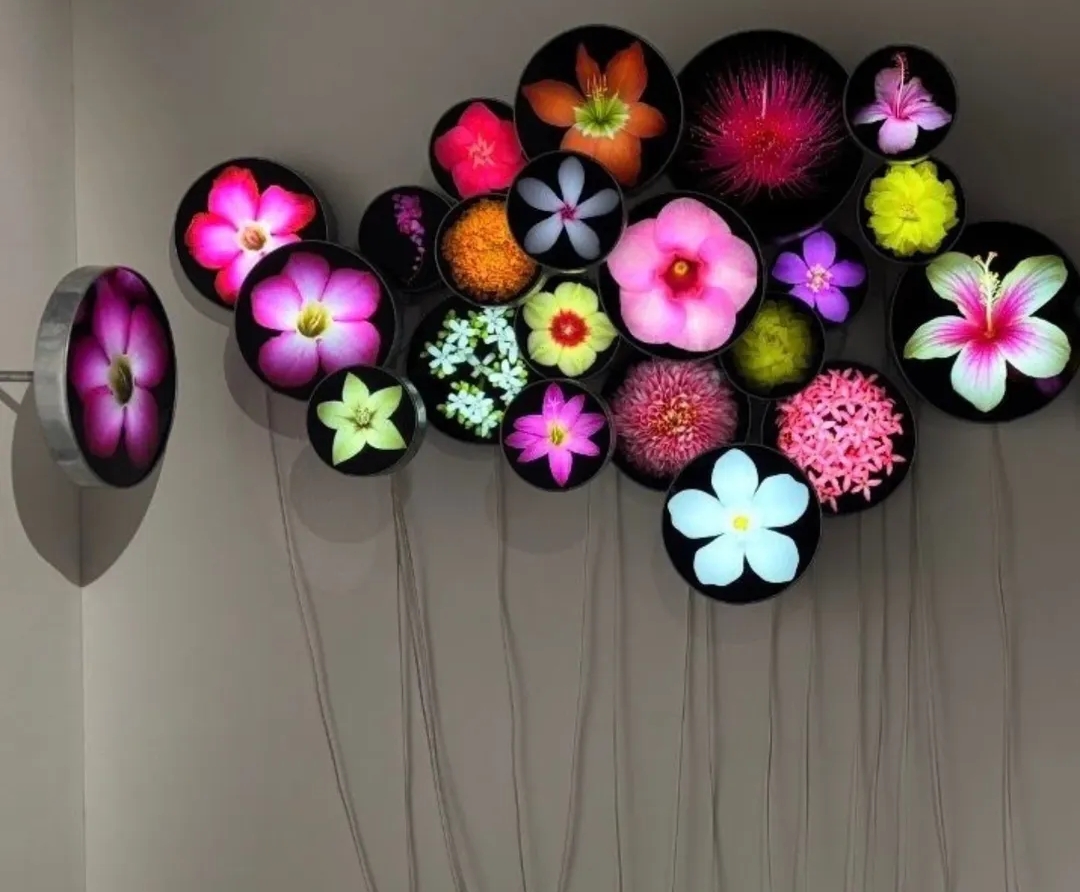 ANGKI PURBANDONO SHOWCASES 73 URBAN FLOWER SPECIES IN THE EXHIBITION BERBUNGA-BUNGA