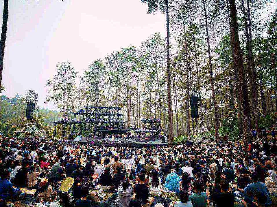 THE MAGIC OF FORESTRA 2025: AN ORCHESTRA AND NATURE EXPERIENCE IN THE PINE FOREST OF CIKOLE