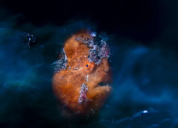 CAPTIVATING DETAILS AND STRIKING BEAUTY, WORKS FROM LEMBEH STRAIT AND TULAMBEN EARN RECOGNITION AT CUPOTY 2026