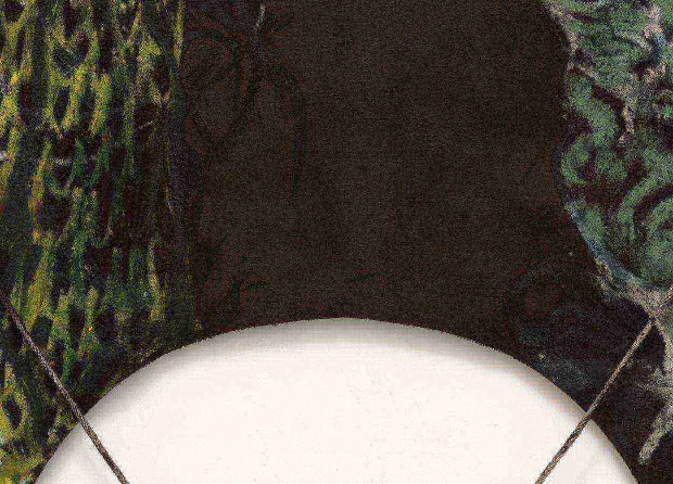 blog-1
