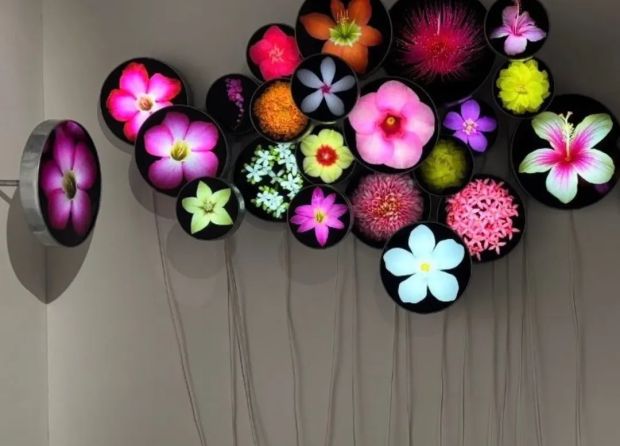 ANGKI PURBANDONO SHOWCASES 73 URBAN FLOWER SPECIES IN THE EXHIBITION BERBUNGA-BUNGA