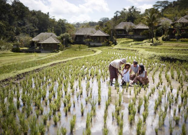 DISCOVER INDONESIA MORE DEEPLY WITH THE GOOD TRAVEL WITH MARRIOTT BONVOY PROGRAM