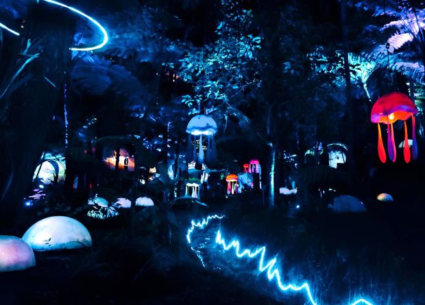 MYCELIA FOREST: A MESMERIZING GLOW IN THE DARK EXPERIENCE IN LEMBANG